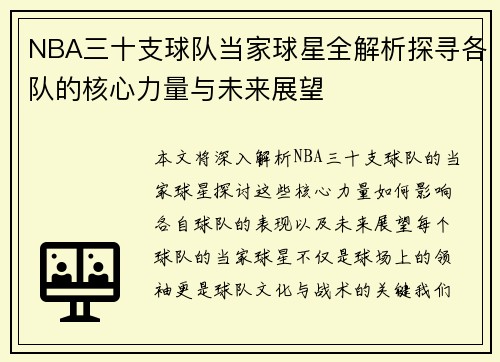 NBA三十支球队当家球星全解析探寻各队的核心力量与未来展望